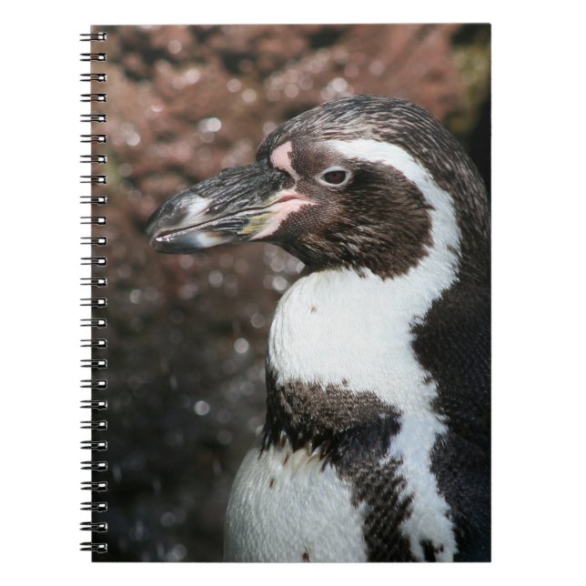 Penguin Notebook (Front)