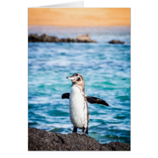 Penguin on Bartolome Island Cards