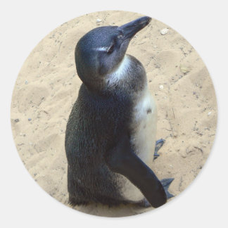 Penguin on sand classic round sticker