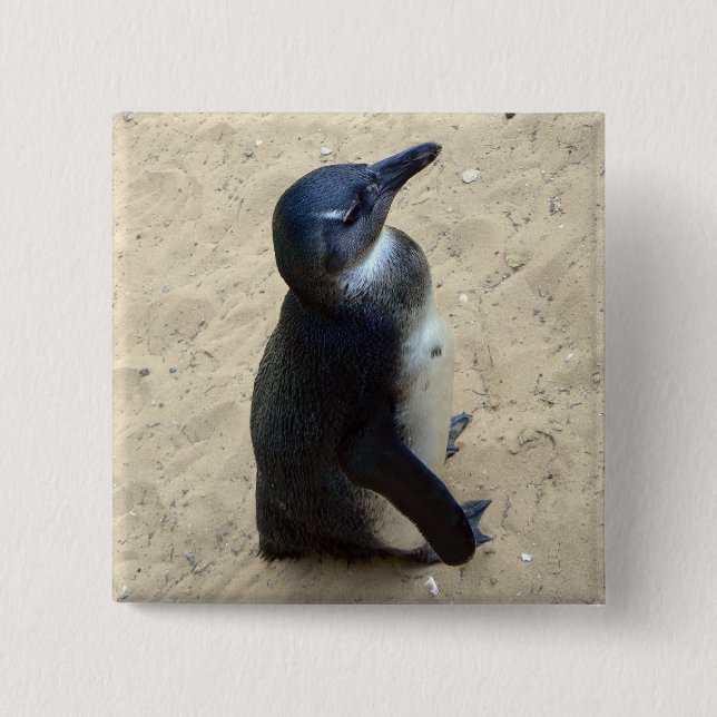 Penguin on sand pinback button (Front)