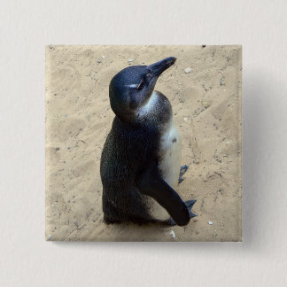 Penguin on sand pinback button