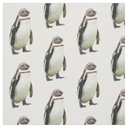 Penguin on White Fabric