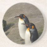 Penguin Pair Coasters