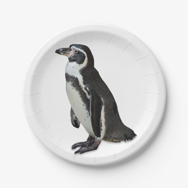 Penguin Paper Plates (Front)