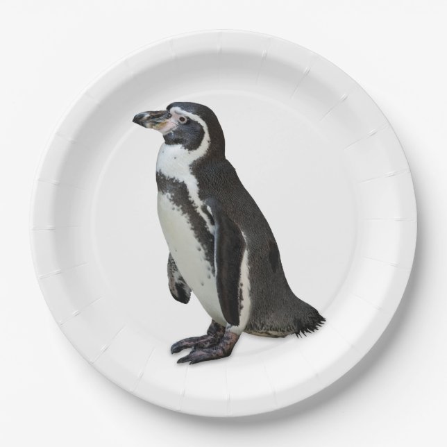 Penguin Paper Plates (Front)