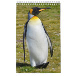 Penguin-pedia: Penguins Of The World Calendar at Zazzle