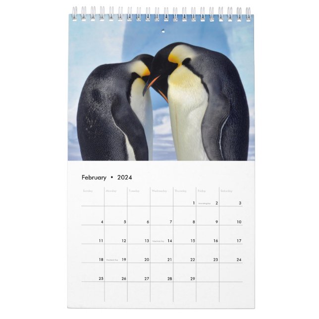 Penguin-Pedia: Penguins of the World Calendar | Zazzle