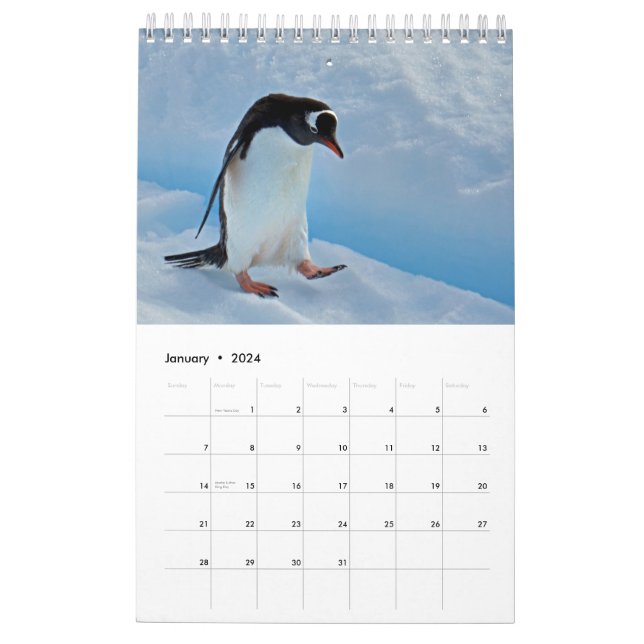 Penguin-Pedia: Penguins of the World Calendar | Zazzle