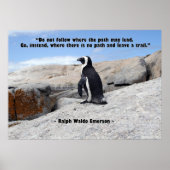 Penguin Philosophy Poster | Zazzle