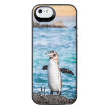 Penguin Phone Case