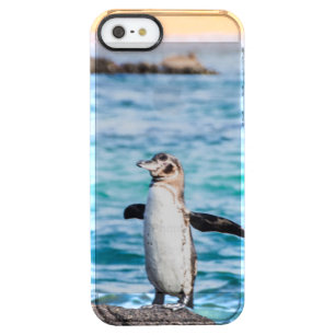 Penguin Phone Case