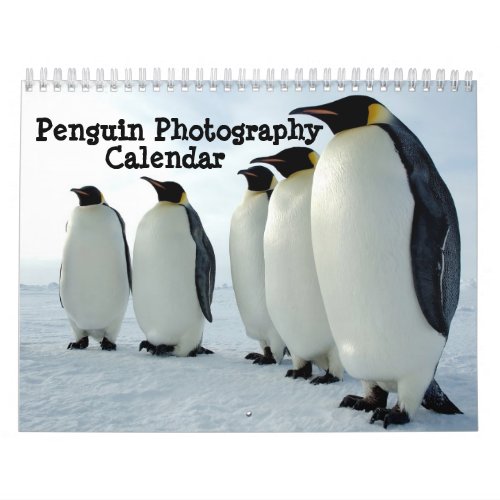 Penguin Photography Calendar