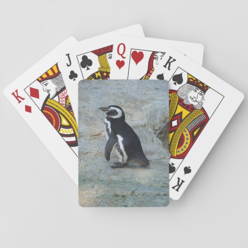 Penguin Playing Cards
