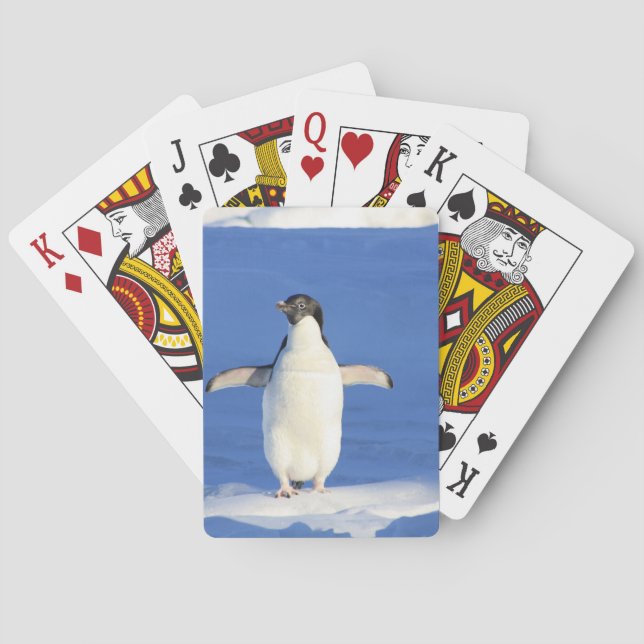 Penguin Poker Cards (Back)