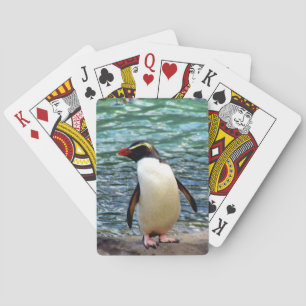 penguin poker cards