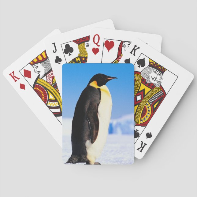 PENGUIN POKER CARDS (Back)