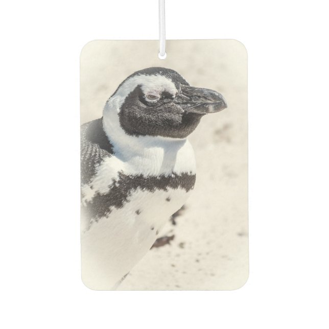 Penguin Portrait Air Freshener (Front)
