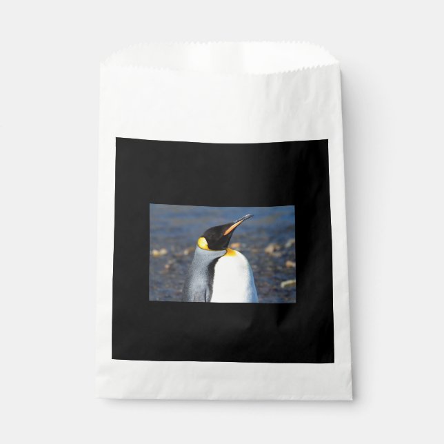 Penguin Portrait Favor Bag (Front)