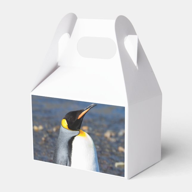 Penguin Portrait Favor Boxes (Back Side)