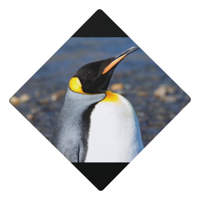 Penguin Portrait Graduation Cap Topper (Front)