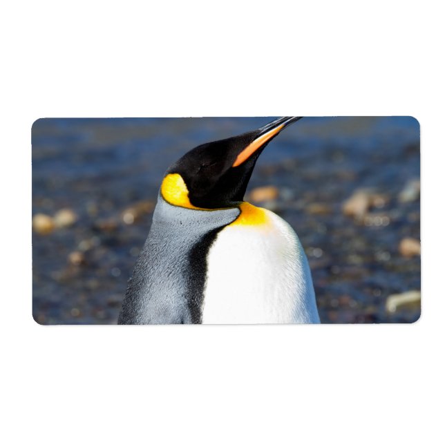 Penguin Portrait Label (Front)