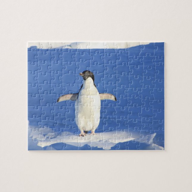 Penguin Puzzle (Horizontal)