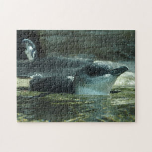 Penguin Puzzle