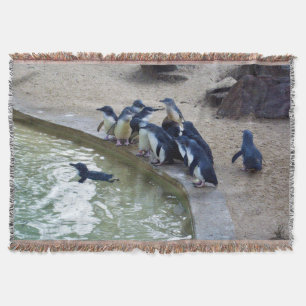 Penguin Relay: Penguin Flock Swim Team, Throw Blanket