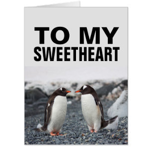 PENGUIN ROMANTIC BIRTHDAY GIANT JUMBO CARD! CARD