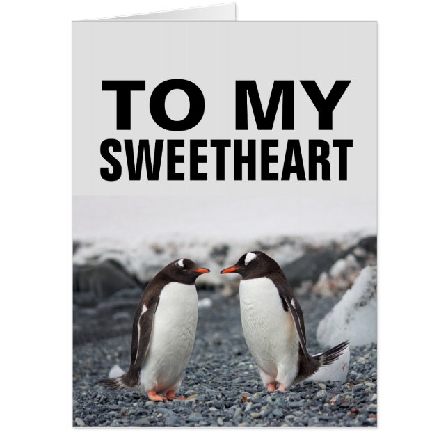 PENGUIN ROMANTIC BIRTHDAY GIANT JUMBO CARD! CARD (Front)