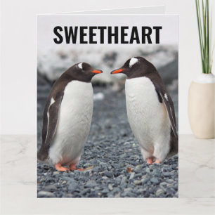 PENGUIN ROMANTIC LOVE funny greeting card