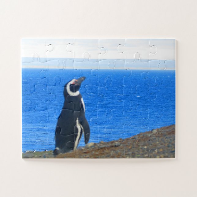 penguin solo jigsaw puzzle (Horizontal)