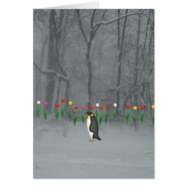 Penguin Spring Walk Cards (Front)