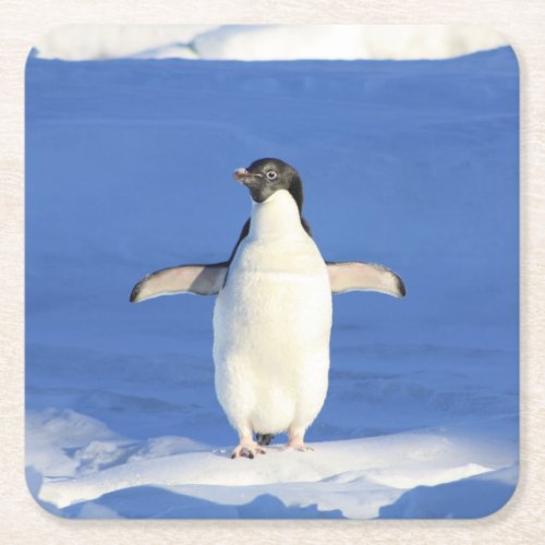 Penguin Square Paper Coaster