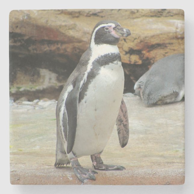 Penguin Standing Alone Stone Coaster (Front)