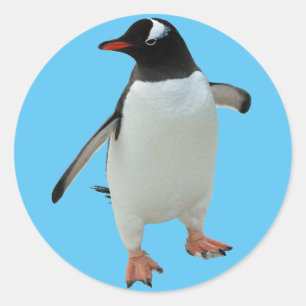 Penguin Sticker