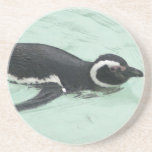 Penguin Swimming Coaster