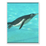 Penguin Swimming Underwater Temporary Tattoos