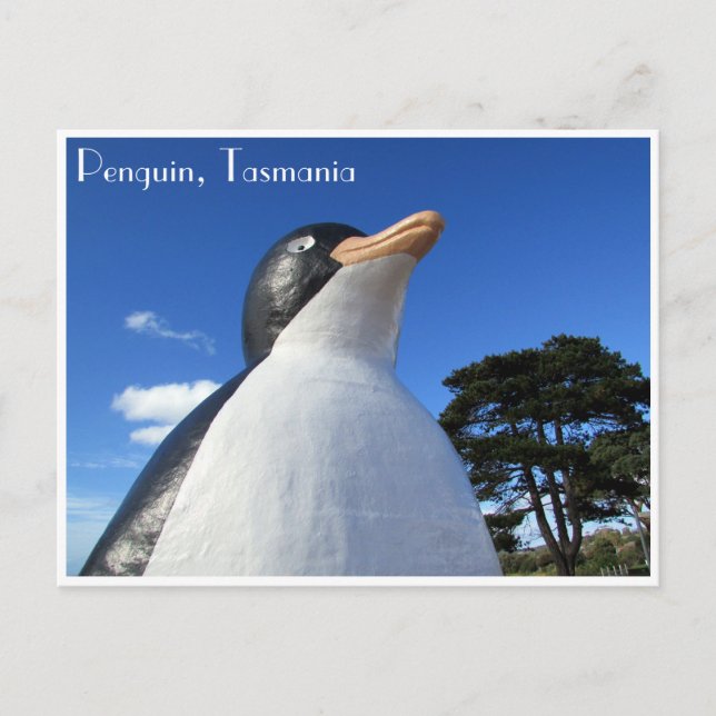 penguin tasmania postcard (Front)