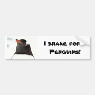 Penguin-tastic Bumper Sticker