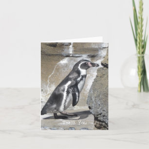 Penguin Thank You
