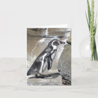 Penguin Thank You Card