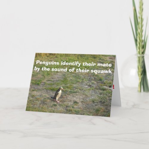 Penguin Valentine Holiday Card
