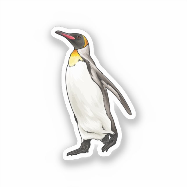 Penguin vector illustration sticker (Front)