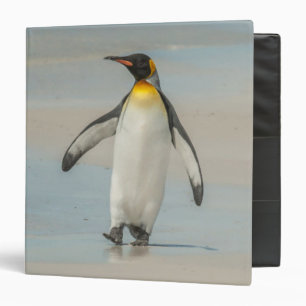 Penguin walking on the beach 3 ring binder