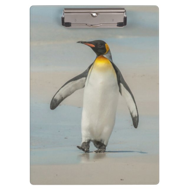 Penguin walking on the beach clipboard (Front)
