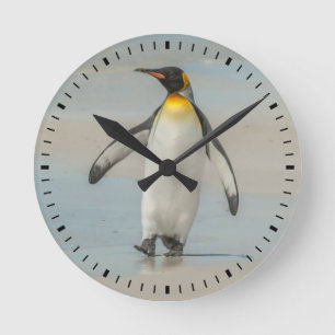 Penguin walking on the beach round clock