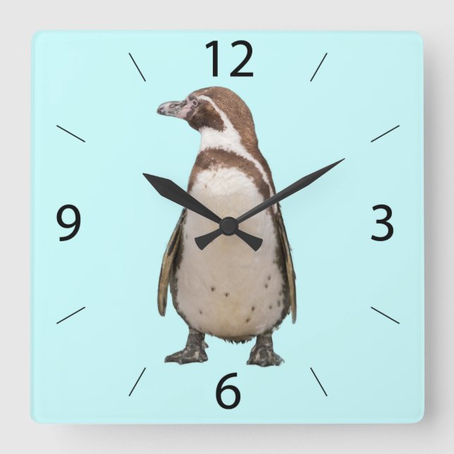 Penguin Wall Clock (Front)
