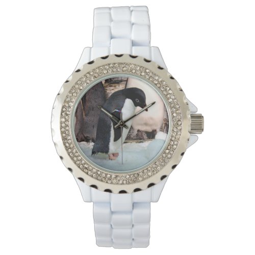 Penguin Watch_ Many Styles to Chose From Watch