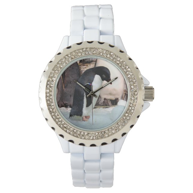 Penguin Watch- Many Styles to Chose From Watch (Front)
